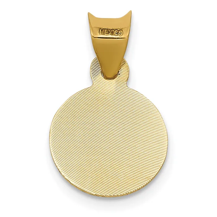 14K wRhodium Polished DC Lady Of Guadalupe Circle Pendant TreasureFineJewelers Necklaces