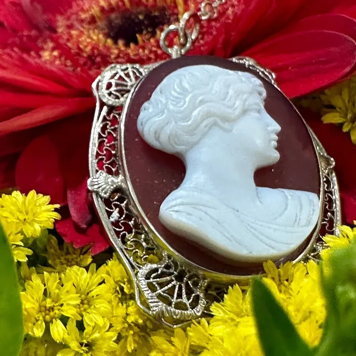 Necklaces ONeills Estate Jewelry 14 Karat White Gold Cameo Necklace 54600275 Necklaces ONeills Estate Jewelry 14 Karat White Gold Cameo Necklace 54600275